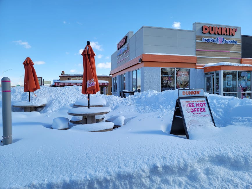 Starbucks and Dunkin' Merge Into $150 Billion Coffee Empire as Climate Change Destroys 60% of Global Bean Production
