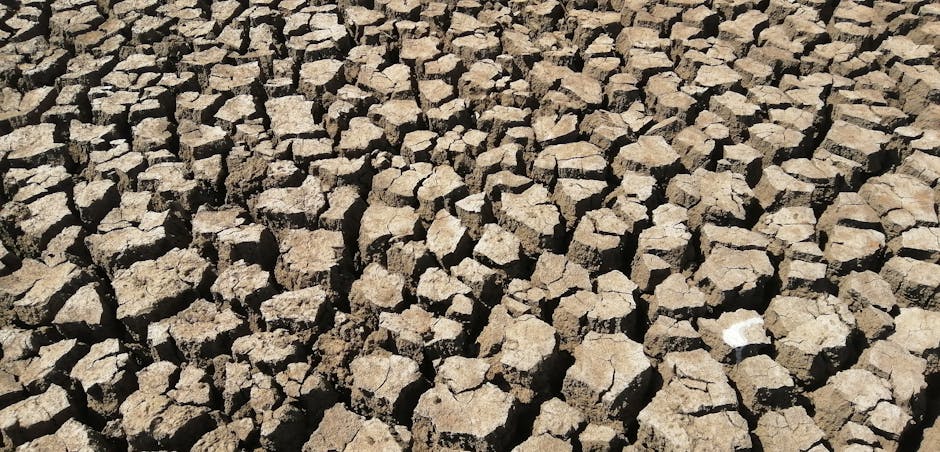 Historic Drought Forces Mass Migration of 15 Million People Across Sub-Saharan Africa as UN Calls Emergency Climate Summit