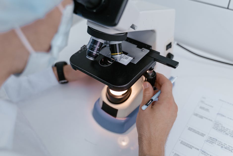 Scientists Achieve Breakthrough in Aging Reversal as First Patients Regain 30 Years of Youth Through Cellular Reprogramming