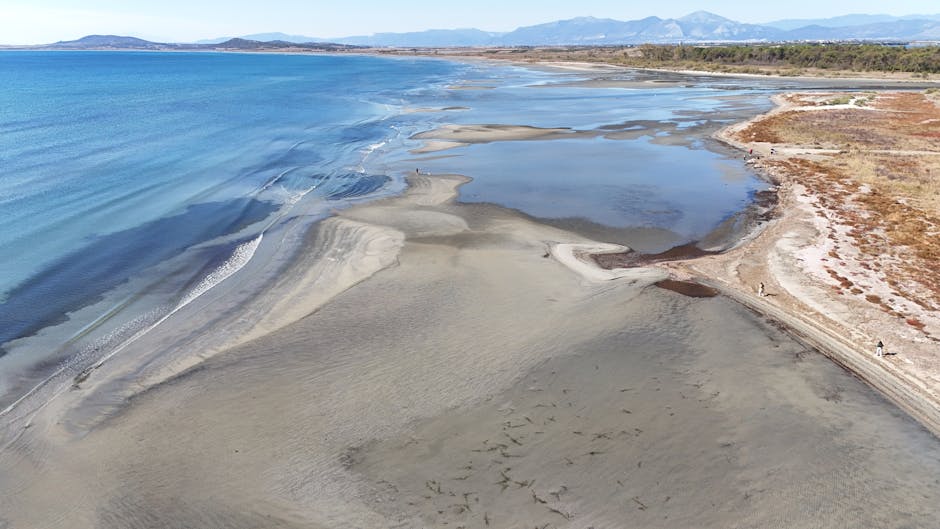 Mediterranean Sea Reaches Record Temperatures as Marine Ecosystem Collapse Threatens European Fishing Industry