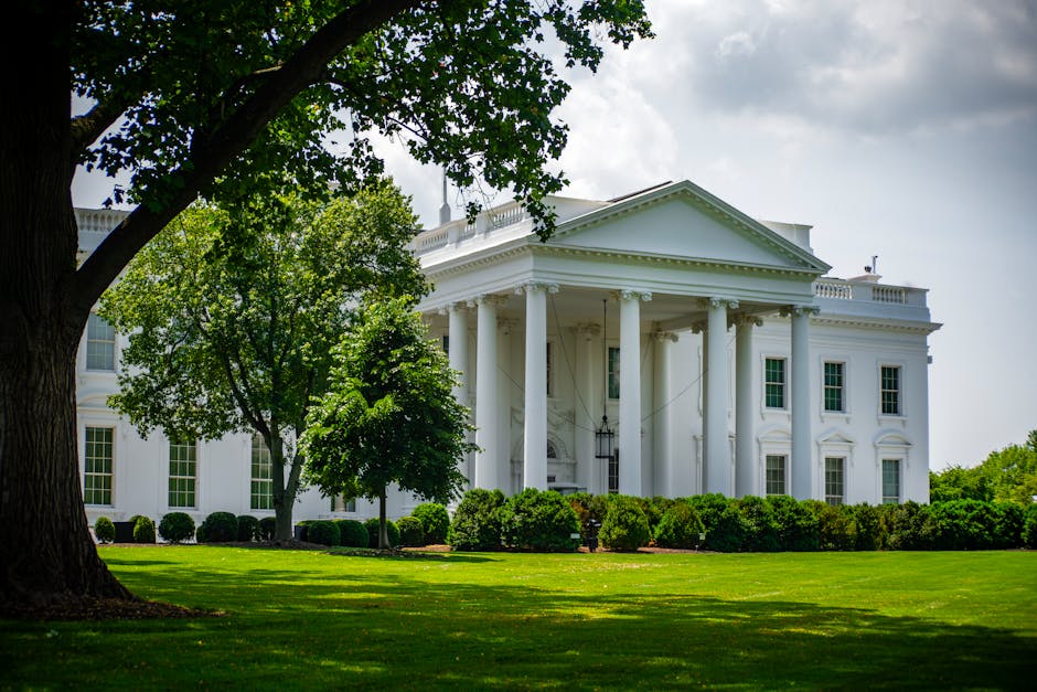 President Biden Announces Retirement from 2024 Race as Vice President Harris Prepares Historic Presidential Campaign Launch