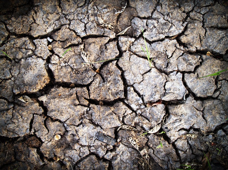 Historic Drought Forces Mass Migration of 15 Million People Across Sub-Saharan Africa as UN Calls Emergency Climate Summit