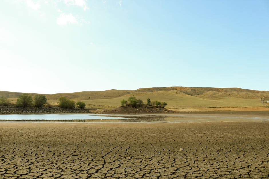 Historic Water Crisis Forces Complete Evacuation of Cape Town as South Africa Declares First Climate Refugee Emergency