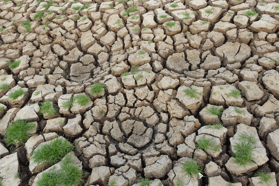 Historic Water Crisis Forces Complete Evacuation of Cape Town as South Africa Declares First Climate Refugee Emergency