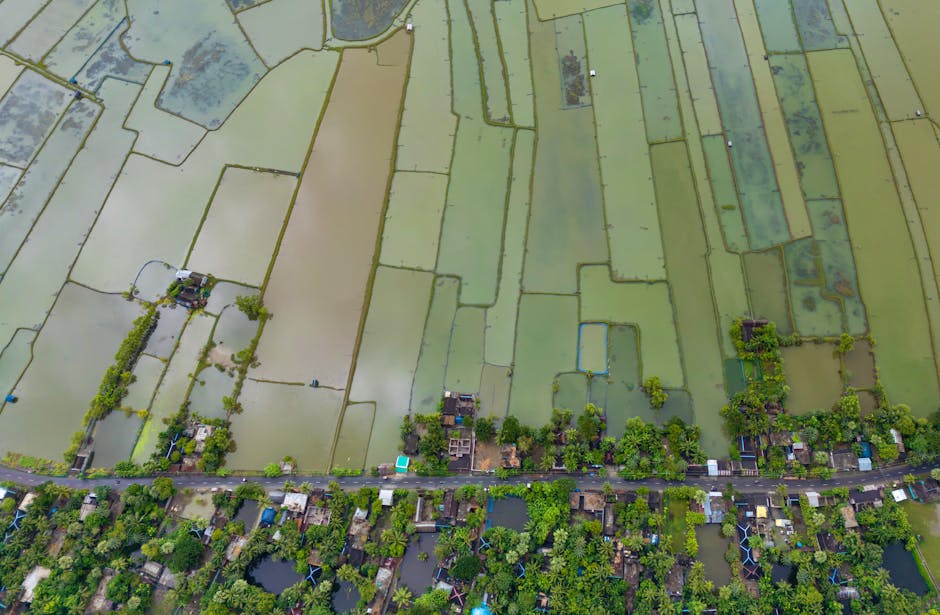 Bangladesh Underwater Crisis Forces 30 Million Climate Refugees to Flee as Monsoon Flooding Reaches Historic Levels
